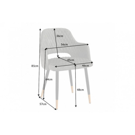 Chaises velours gris vert avec accoudoir / Pieds noir embouts dorés