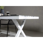 Table de jardin grise et blanche 200 cm