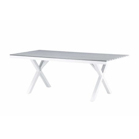 Table de jardin grise et blanche 200 cm