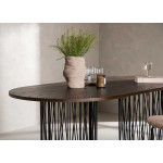 Table de repas ovale 220 cm