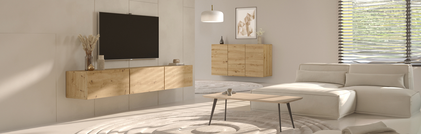 Meubles modernes de salon bois hickory