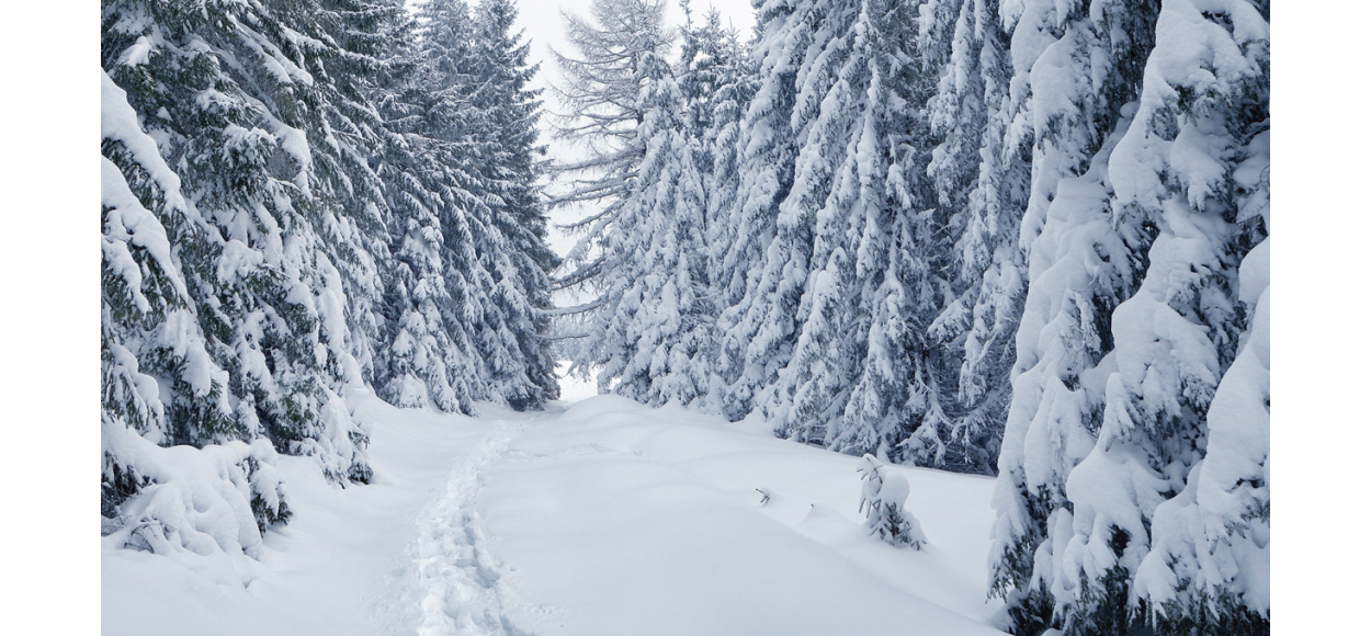 Comment décorer votre maison pour l’hiver ? 